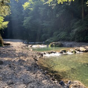 秋川国際マス釣場へ行ってきました