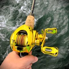 キス＆タコ釣りしてきました😄